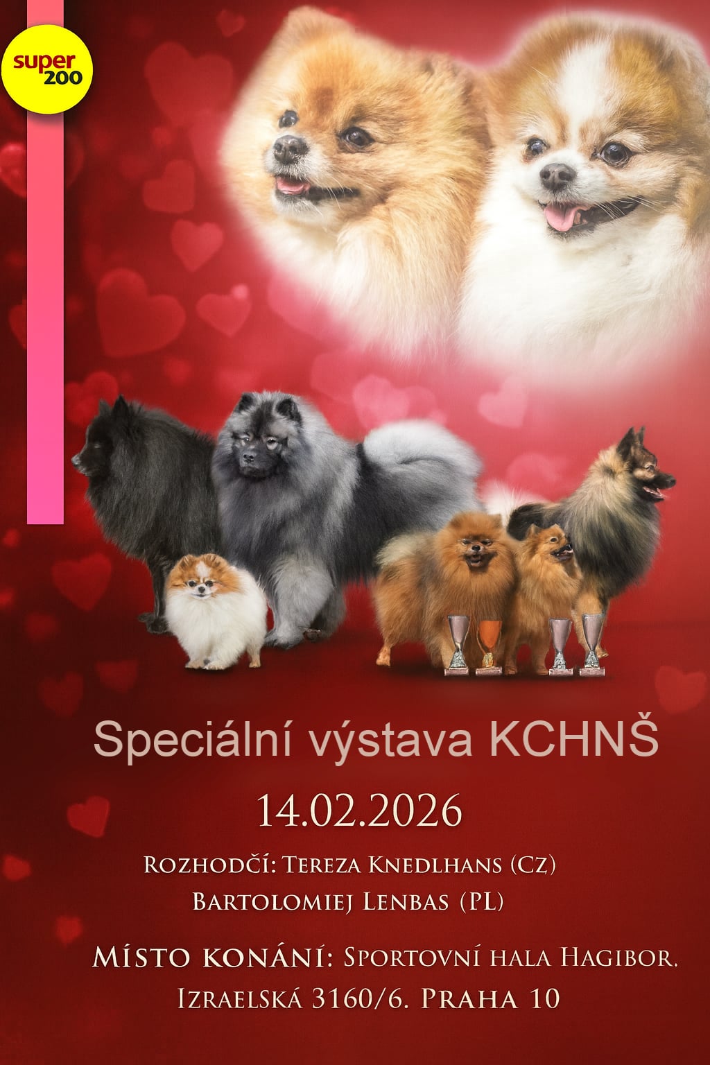 589509225 122182604822502690 3941426589641938017 n