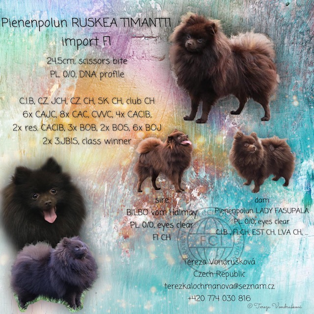 PienenpolunRuskeaTimantti