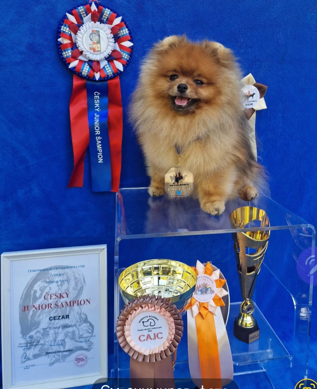 Изображение WhatsApp 2025 09 21 в 15.23.13 279b1df3