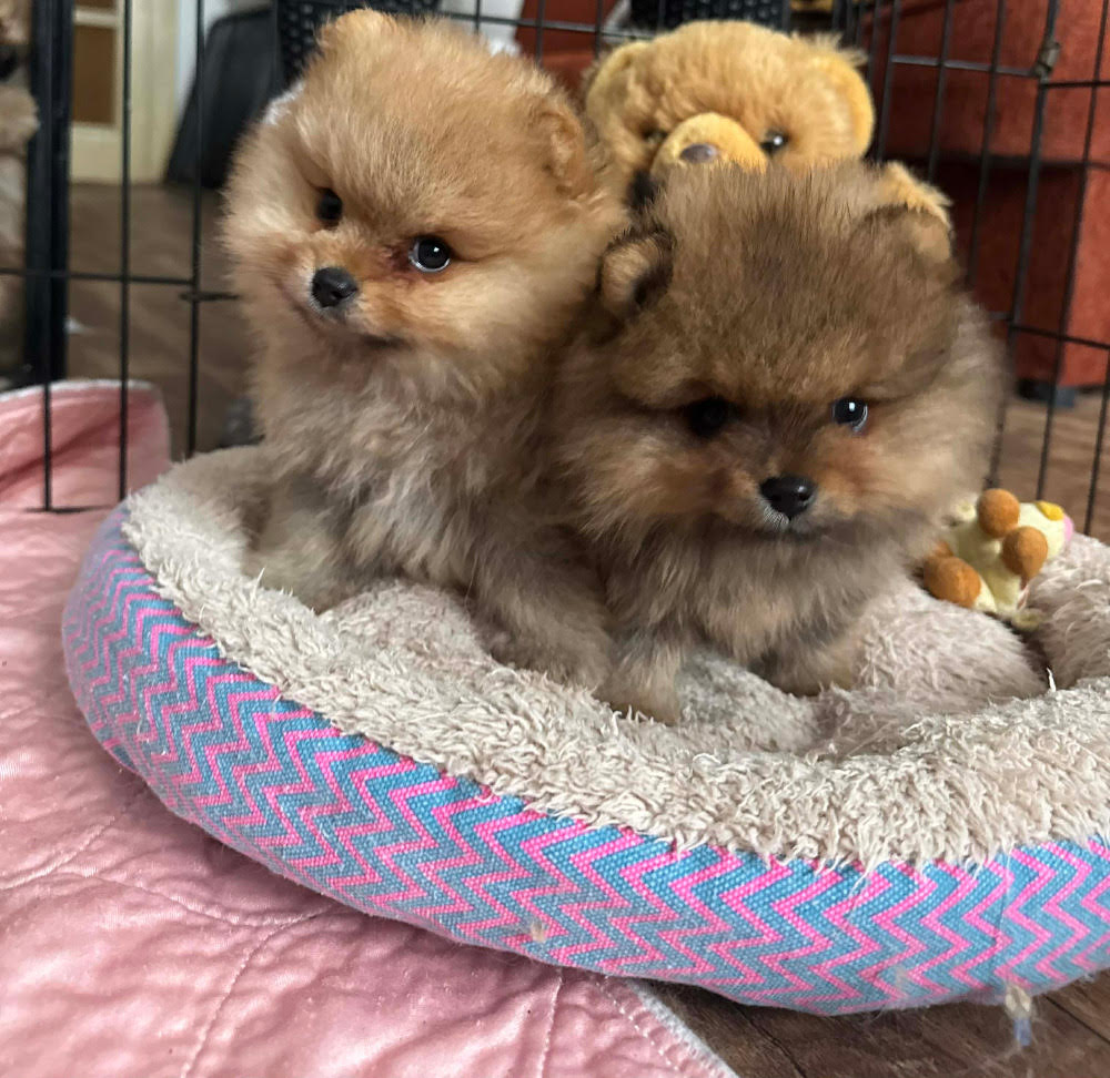 Z Tolstejnskeho panstvi3