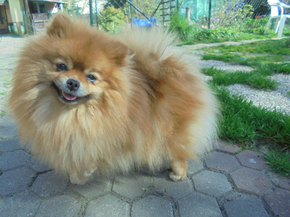 Z Tolstejnskeho panstvi4