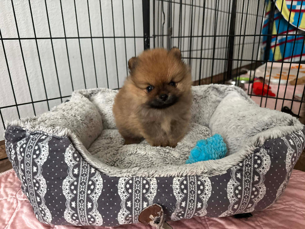 Z Tolstejnskeho panstvi5